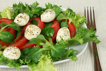 Image showing Mozzarella salad