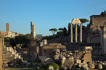 Image showing The Forum, Rome