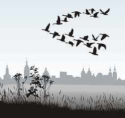 Image showing Migrating wild geese of the country