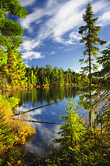 Image showing Forest and sky reflecting in lake