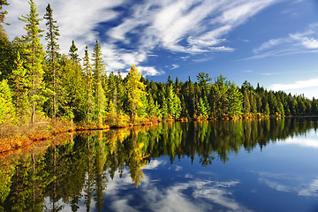 Image showing Forest reflecting in lake