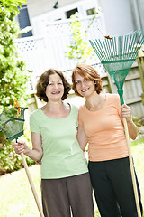 Image showing Women with rakes in garden