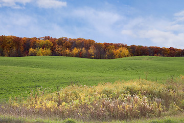 Image showing Autumn Field