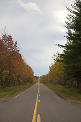 Image showing Autumn Road