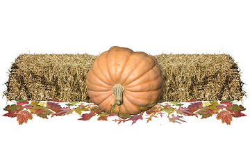 Image showing Harvest Decore