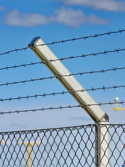 Image showing razor wire fence 