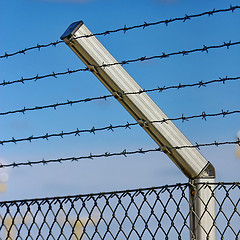 Image showing razor wire fence 