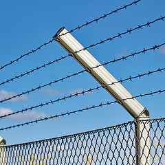 Image showing razor wire fence