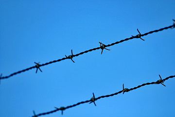 Image showing razor wire 