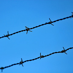 Image showing razor wire 