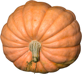 Image showing Pumpkin time