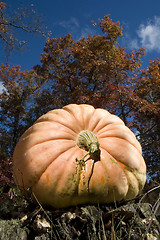 Image showing Autumn Time