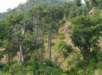 Image showing around Aravalli Range