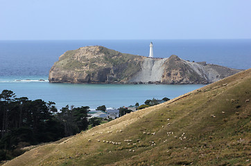 Image showing Castlepoint, New Zealand.