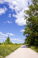 Image showing rural gravel road between meadow and forest 