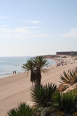 Image showing Coastline