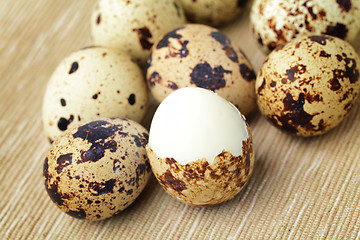 Image showing quail eggs