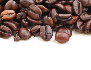 Image showing coffee bean