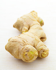 Image showing ginger root