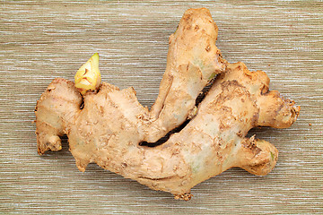 Image showing ginger