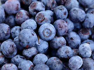 Image showing blueberry