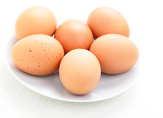 Image showing fresh eggs