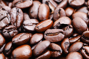 Image showing coffee bean