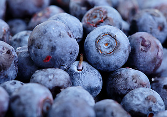 Image showing blueberry