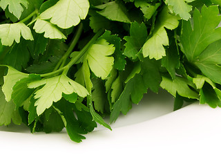 Image showing Parsley