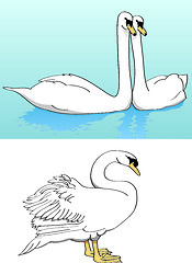 Image showing Two swans on a lake and one lonely swan