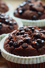 Image showing Chocolate Chip Muffin