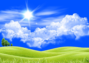 Image showing Green wheat field, white clouds, blue sky