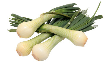 Image showing onions