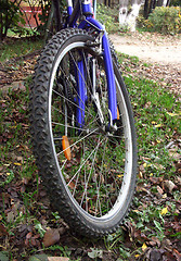 Image showing A bicycle wheel