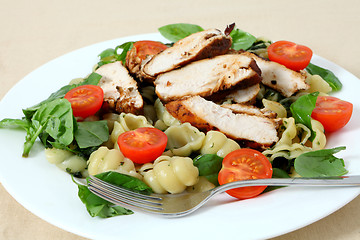 Image showing Grilled chicken and pasta salad