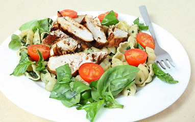 Image showing Grilled chicken and pasta salad side view