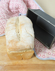 Image showing Oven fresh bread vertical