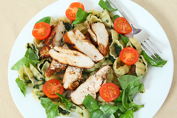 Image showing Grilled chicken and pasta salad high angle