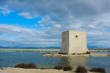 Image showing Salt marsh