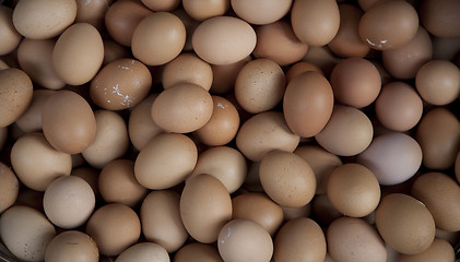 Image showing Background of eggs