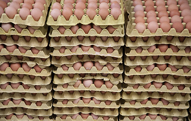 Image showing Loads of eggs for sale