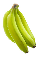 Image showing Unripe banana