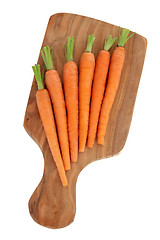 Image showing Carrots