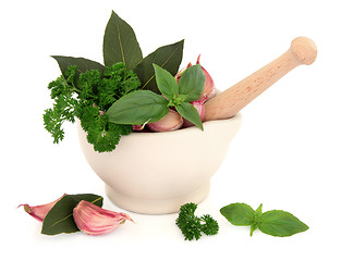 Image showing Garlic and Herbs
