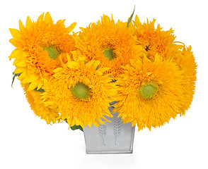 Image showing Sunflower Sunshine