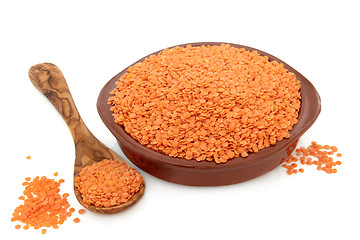 Image showing Red Lentils