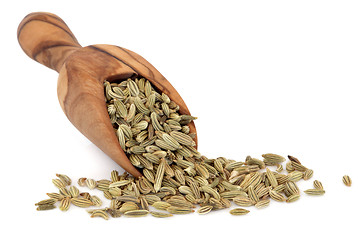 Image showing Fennel Seed