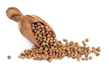 Image showing Coriander Seed