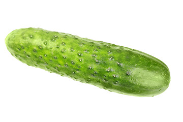 Image showing Green fresh cucumber