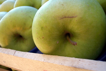 Image showing golden apples in case